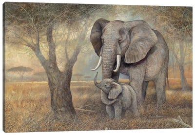 Gentle Touch Canvas Art Print - Elephant Art