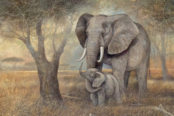 Animal Lover: Gentle Touch by Ruane Manning