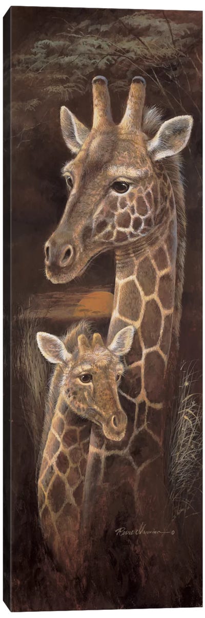Love & Devotion Canvas Art Print - Giraffe Art