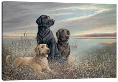 All Grown Up Canvas Art Print - Labrador Retriever Art
