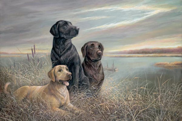 Labrador Retrievers: All Grown Up by Ruane Manning