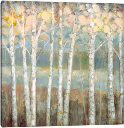 Nature's Palette I Canvas Art Print - Aspen and Birch Trees