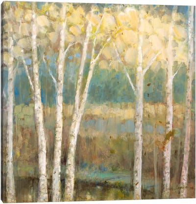 Nature's Palette II Canvas Art Print - Aspen and Birch Trees