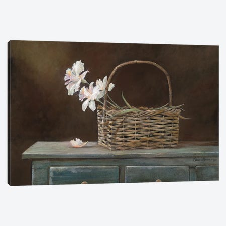 Orchid Basket Canvas Print #RUA64} by Ruane Manning Canvas Art