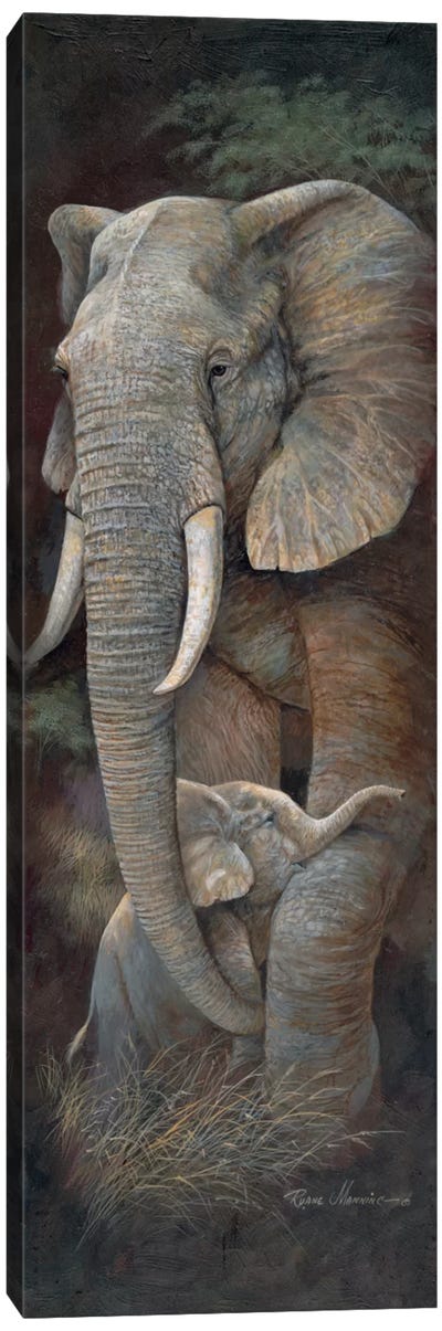 Protective Care Canvas Art Print - Elephant Art