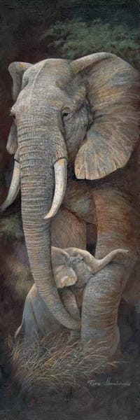Elephants: Protective Care by Ruane Manning