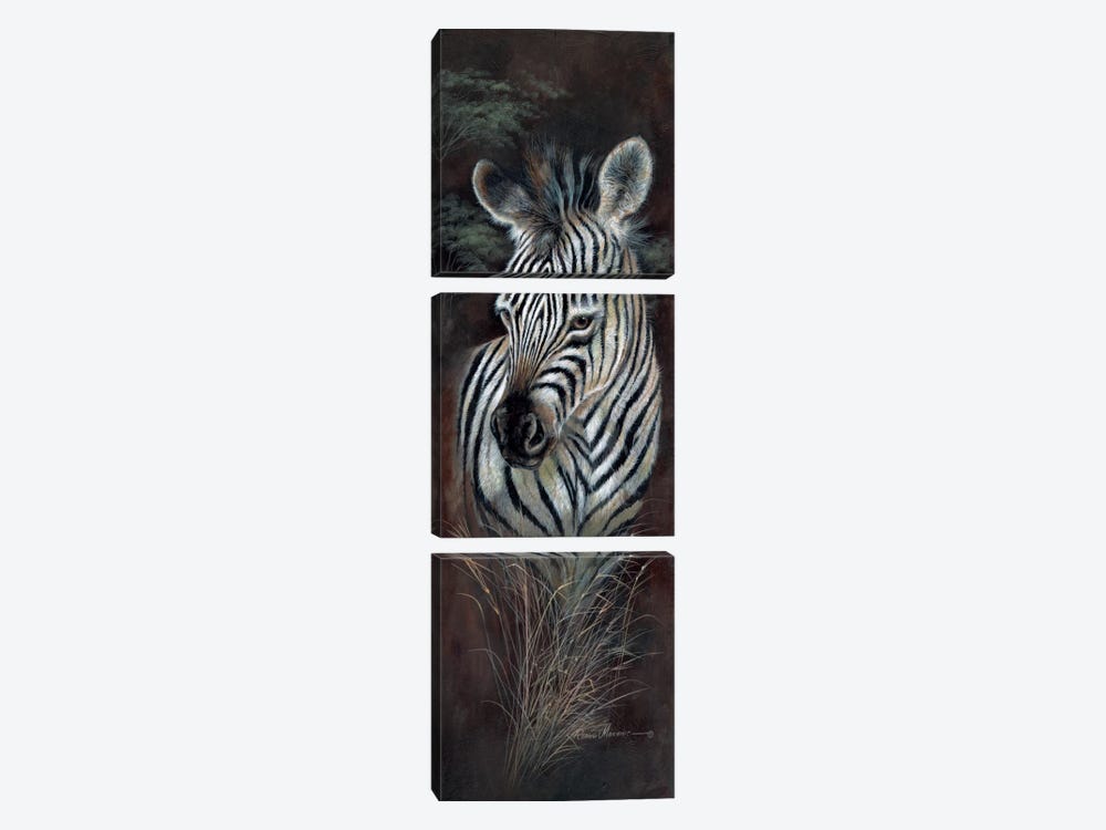 Striped Innocence by Ruane Manning 3-piece Canvas Print