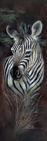 Zebras: Striped Innocence by Ruane Manning
