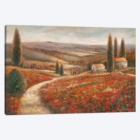 Tuscan Palette Canvas Print #RUA92} by Ruane Manning Canvas Artwork
