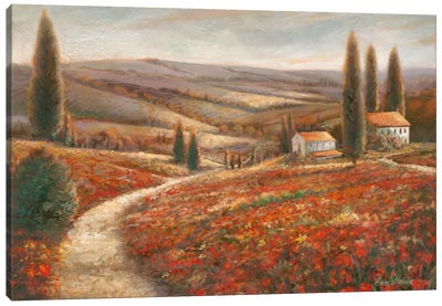 Tuscan Palette Canvas Art Print - Trail, Path & Road Art