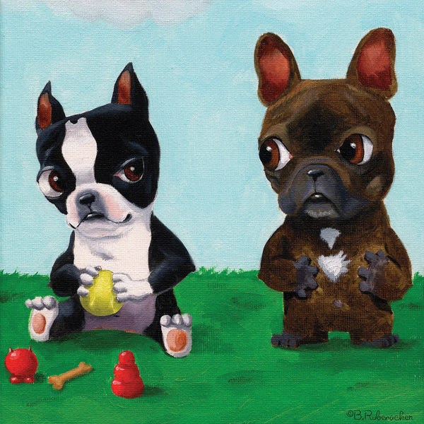 Terriers: Boston and Frenchie by Brian Rubenacker