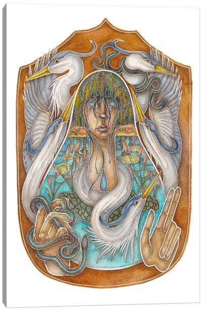 Pond Spirit Canvas Art Print - Pelican Art