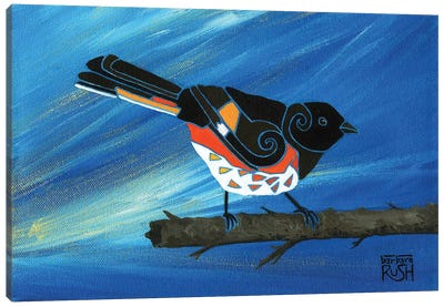 Towhee Bird Canvas Art Print - Barbara Rush