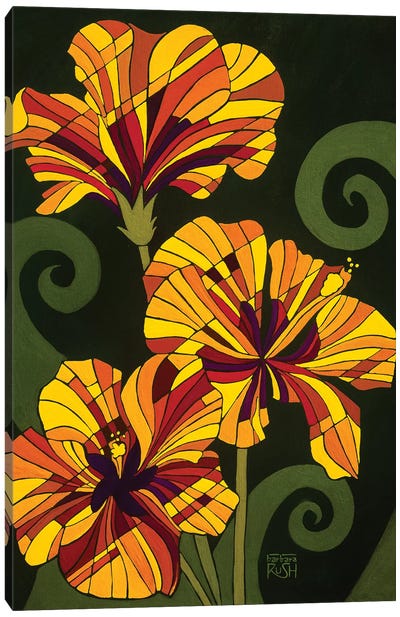 Hibiscus In Rhapsody Canvas Art Print - Barbara Rush