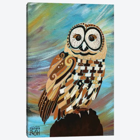 A Brand New Day Owl Canvas Print #RUH19} by Barbara Rush Art Print