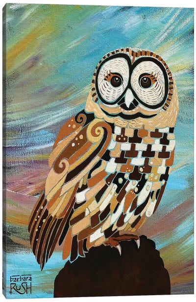 A Brand New Day Owl Canvas Art Print - Barbara Rush