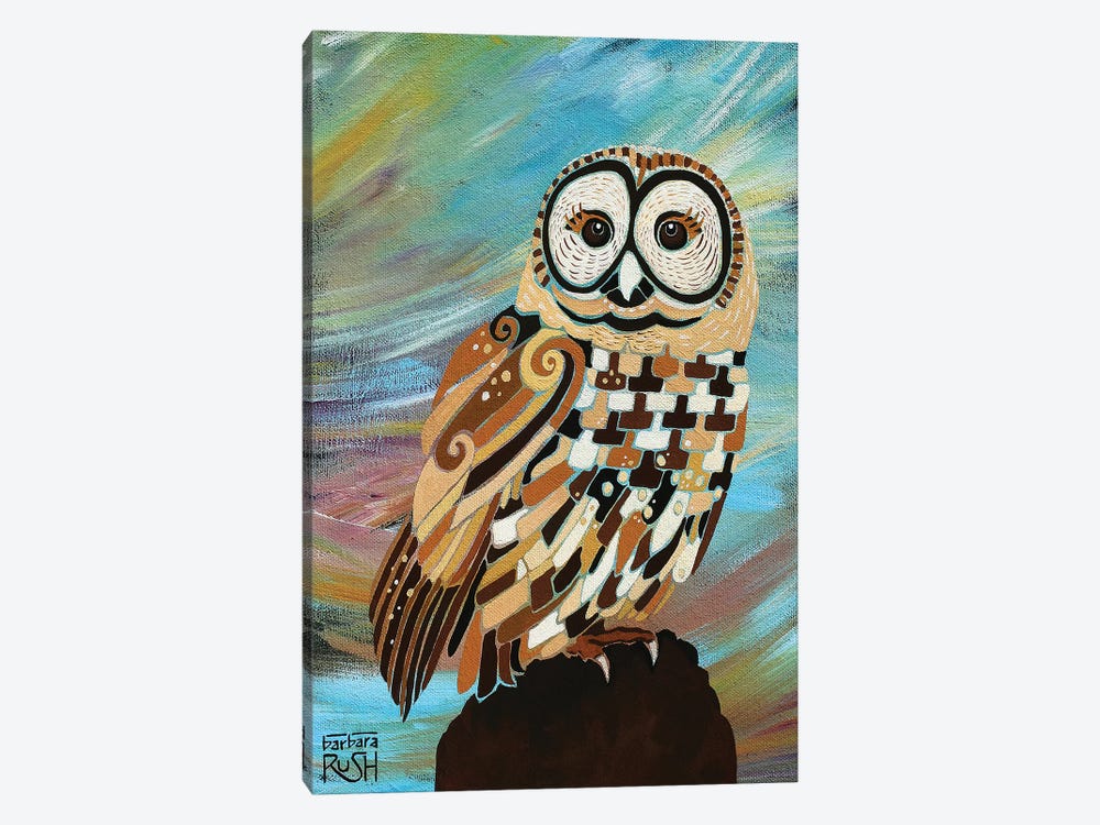 A Brand New Day Owl by Barbara Rush 1-piece Canvas Wall Art
