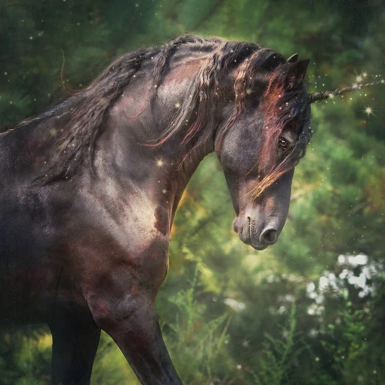 Magical Luca by Rupa Sutton wall art