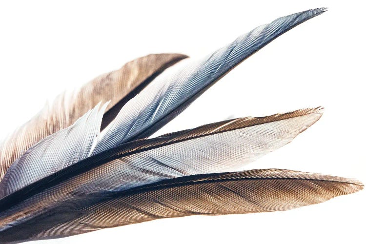 Silver And Bronze by Rupa Sutton wall art