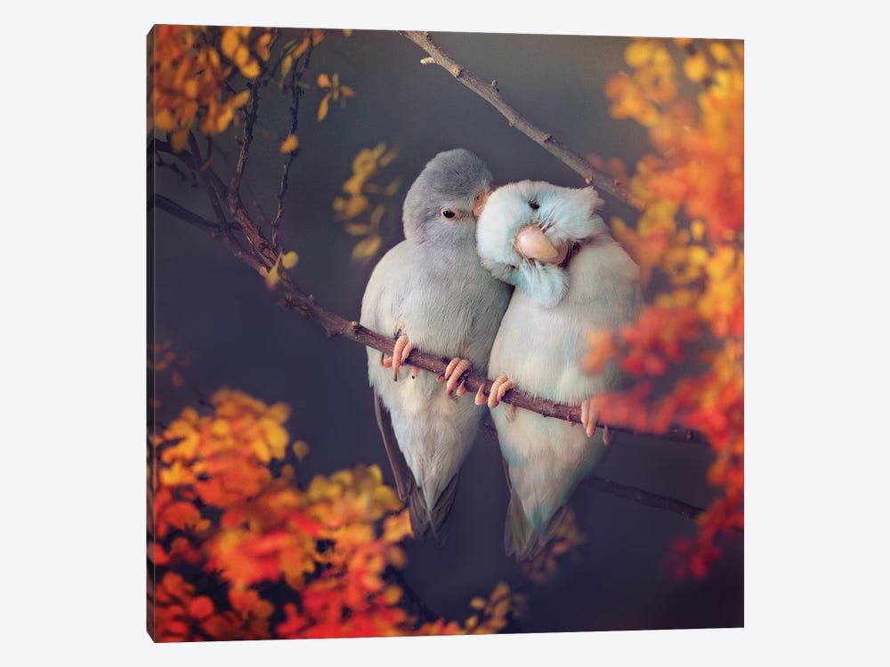Sweethearts by Rupa Sutton 1-piece Canvas Artwork