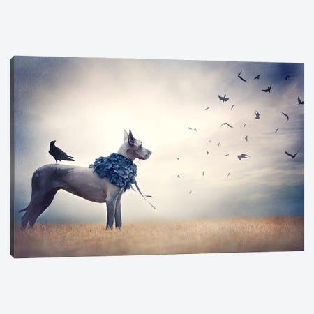 The Crow Queen Series Conspiracy Canvas Print #RUP64} by Rupa Sutton Canvas Art Print