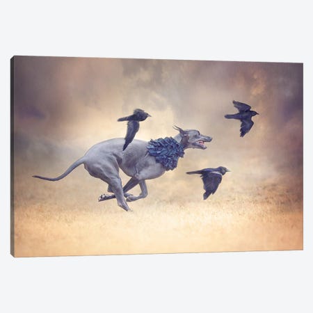The Crow Queen Series Flight Canvas Print #RUP65} by Rupa Sutton Canvas Art Print