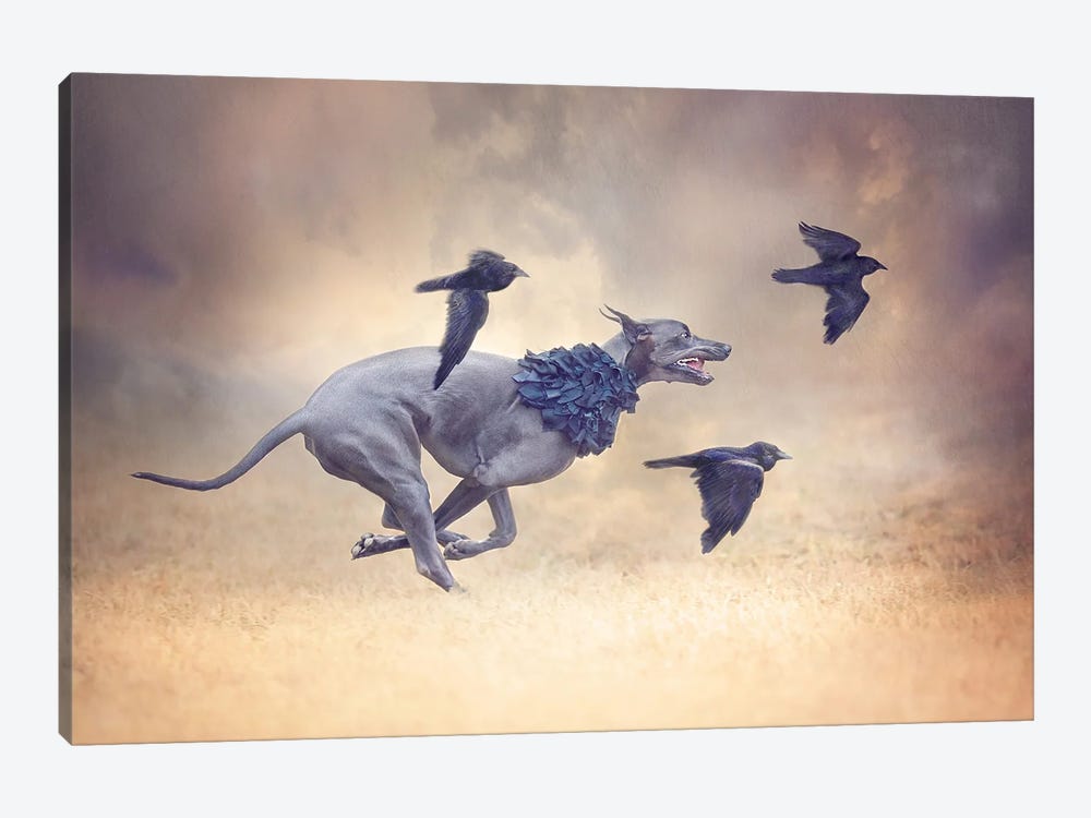 The Crow Queen Series Flight by Rupa Sutton 1-piece Canvas Print
