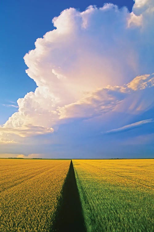 Approaching Storm Over Cropland