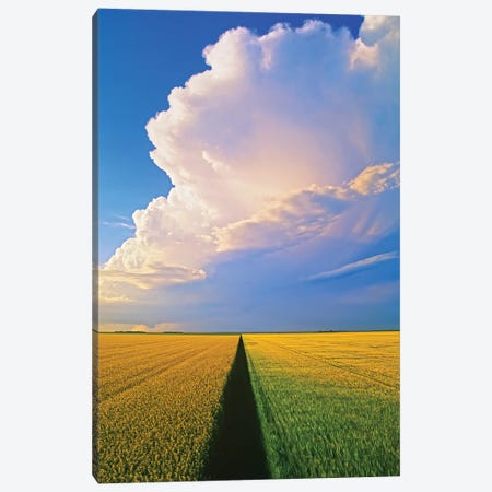 Approaching Storm Over Cropland Canvas Print #RVD102} by Dave Reede Art Print