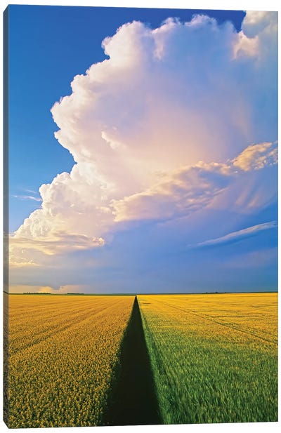 Approaching Storm Over Cropland Canvas Art Print - Field, Grassland & Meadow Art