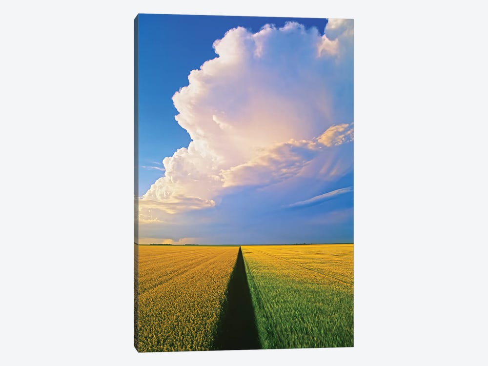 Approaching Storm Over Cropland by Dave Reede 1-piece Canvas Print