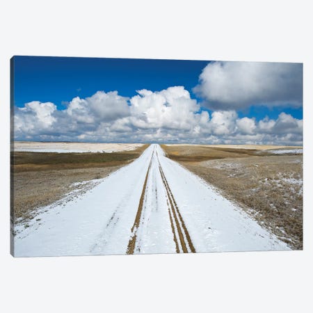 Never Ending Backroad Canvas Print #RVD108} by Dave Reede Canvas Art Print