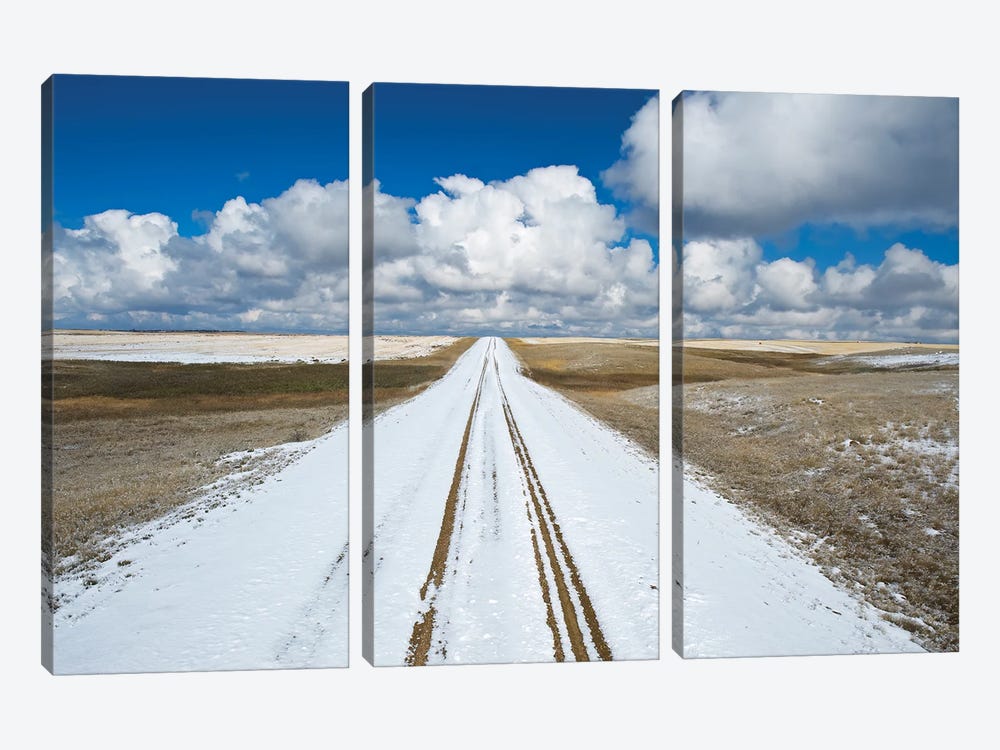 Never Ending Backroad by Dave Reede 3-piece Canvas Art Print