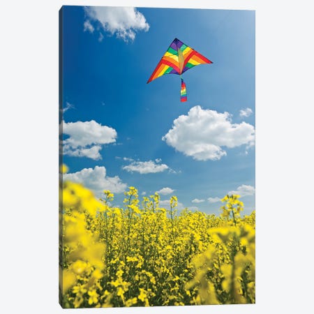 Flying Above The Crop Canvas Print #RVD115} by Dave Reede Canvas Print