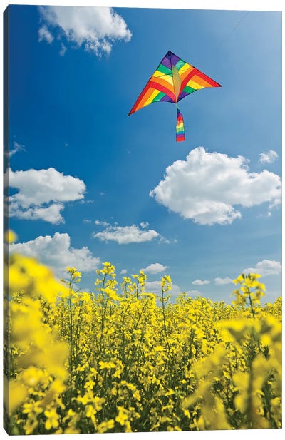 Flying Above The Crop Canvas Art Print - Sunflower Art