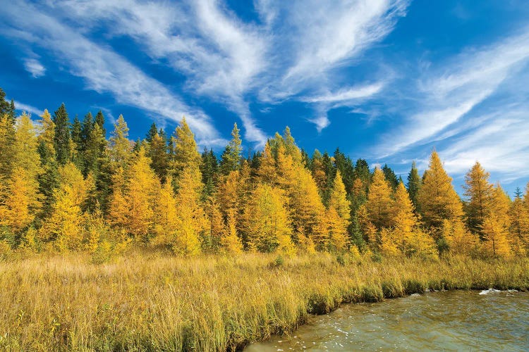 Autumn Along A Lake