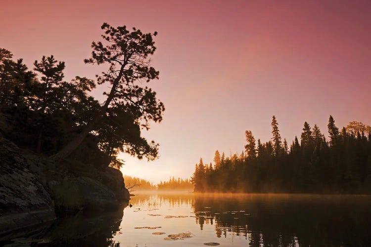 Morning Along A River