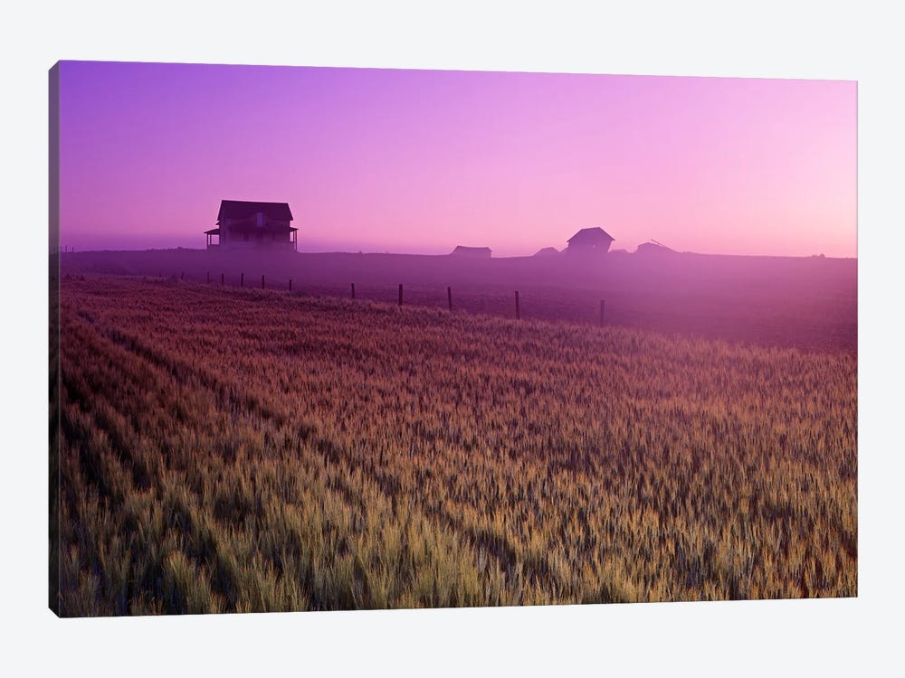 Durum Wheat Field by Dave Reede 1-piece Canvas Art Print