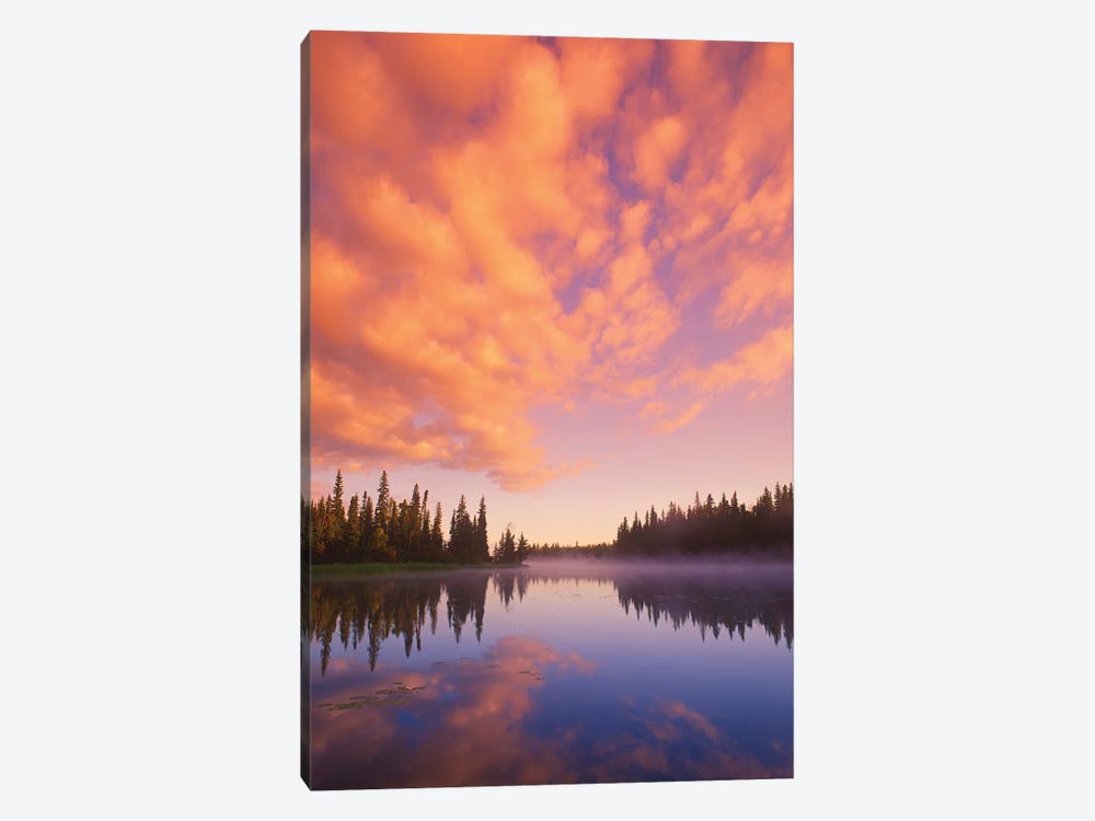 Sunrise Over Northern Rive by Dave Reede 1-piece Canvas Art
