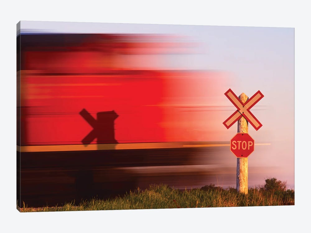 Fast Train by Dave Reede 1-piece Canvas Art
