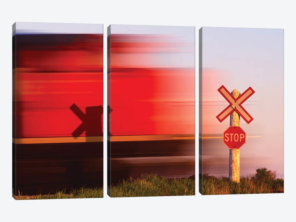 Fast Train by Dave Reede 3-piece Canvas Artwork