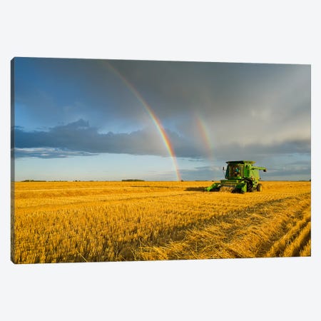 Evening Harvest Canvas Print #RVD22} by Dave Reede Canvas Artwork