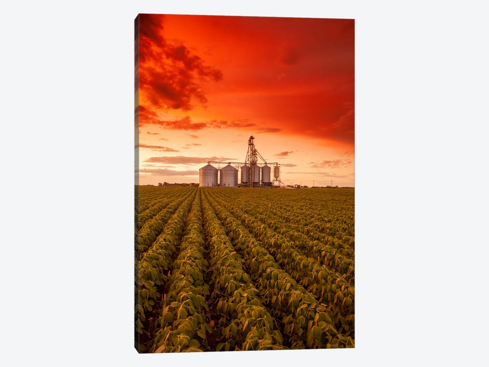 Farmland Sunset by Dave Reede 1-piece Canvas Print