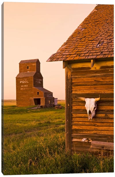 Ghost Town Canvas Art Print - Dave Reede