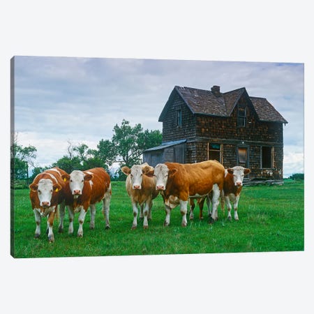 Guarding The Old Homestead Canvas Print #RVD33} by Dave Reede Canvas Art Print