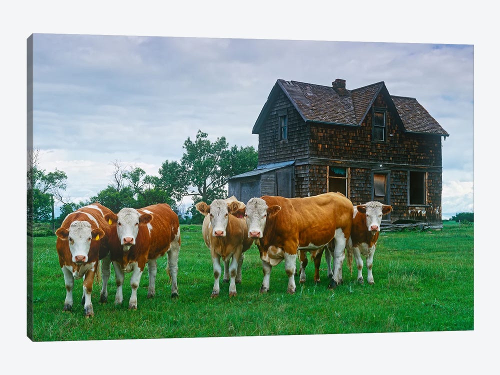 Guarding The Old Homestead by Dave Reede 1-piece Canvas Art