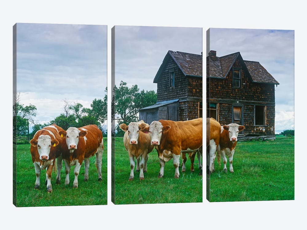 Guarding The Old Homestead by Dave Reede 3-piece Canvas Wall Art