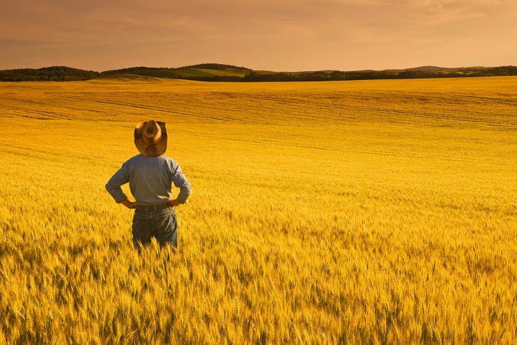 Admiring The Crop