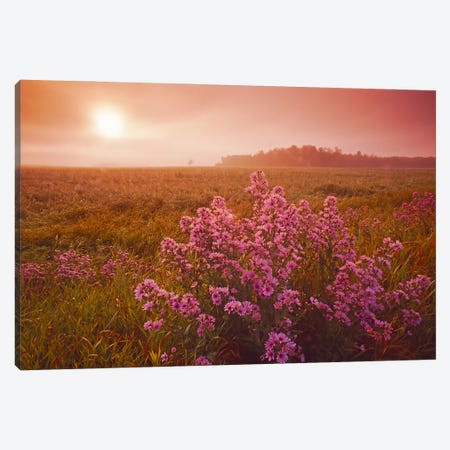 Moody Prairie Morning Canvas Print #RVD40} by Dave Reede Canvas Artwork