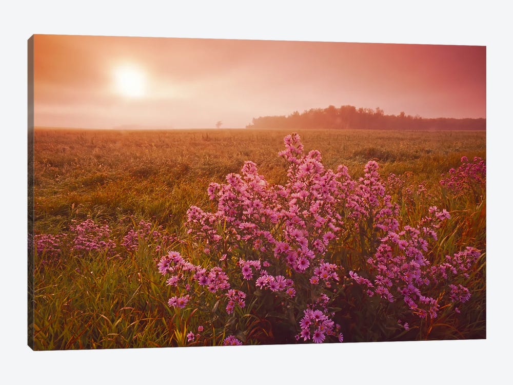 Moody Prairie Morning by Dave Reede 1-piece Canvas Art